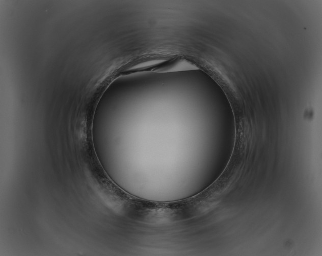 X0000091220212200708231639