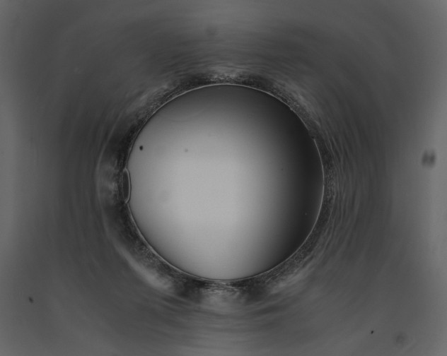 X0000091220215200708231639