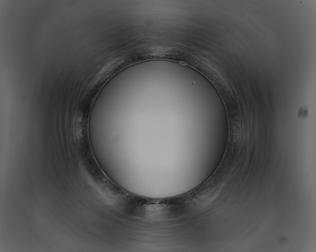 X0000091220216200708231639