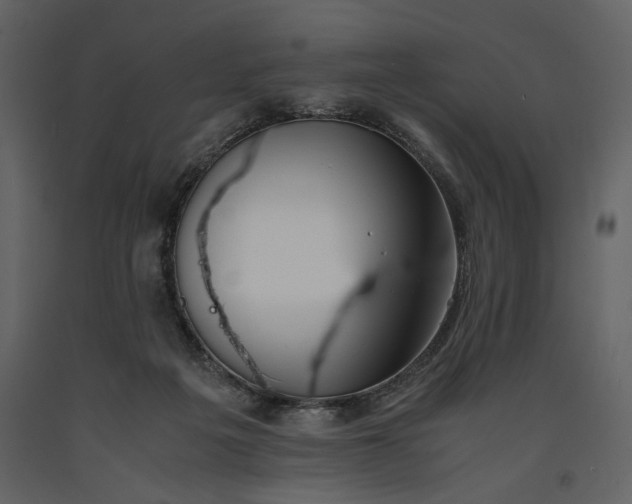 X0000091220217200708231639