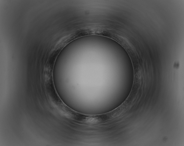 X0000091220218200708231639