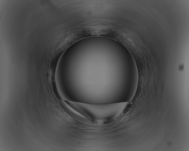 X0000091220219200708231638