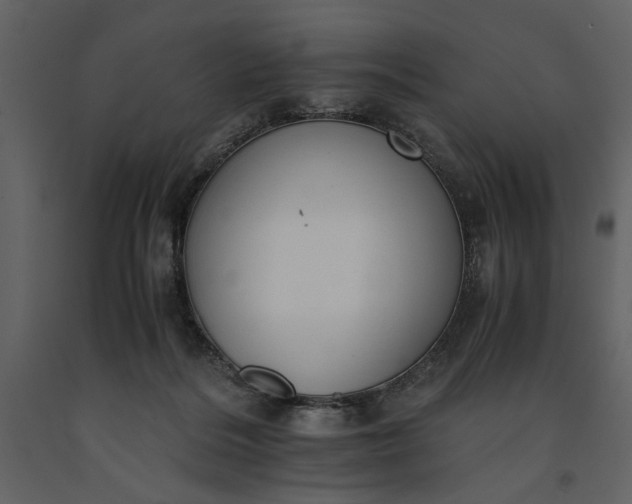 X0000091220220200708231638