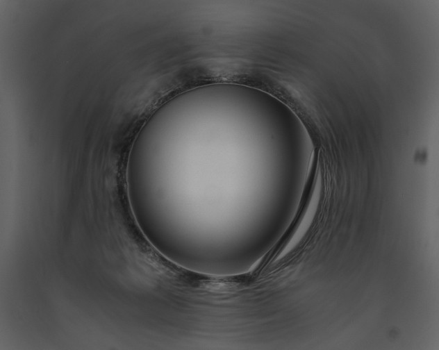 X0000091220221200708231638