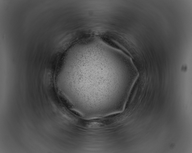 X0000091220222200708231638