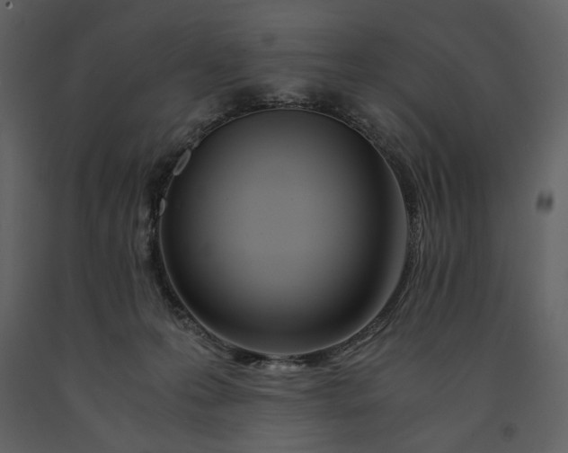 X0000091220223200708231638