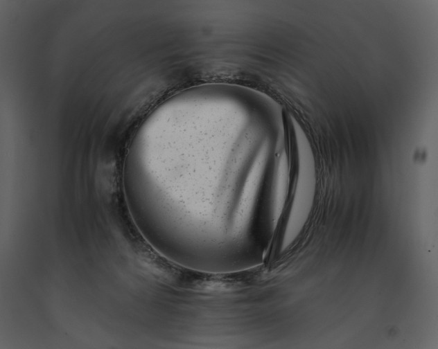 X0000091220224200708231638