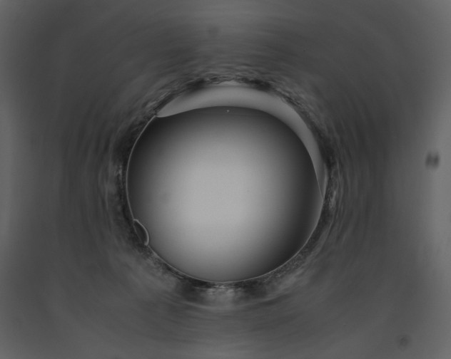 X0000091220225200708231638