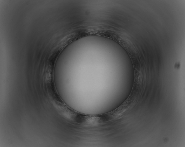 X0000091220226200708231638