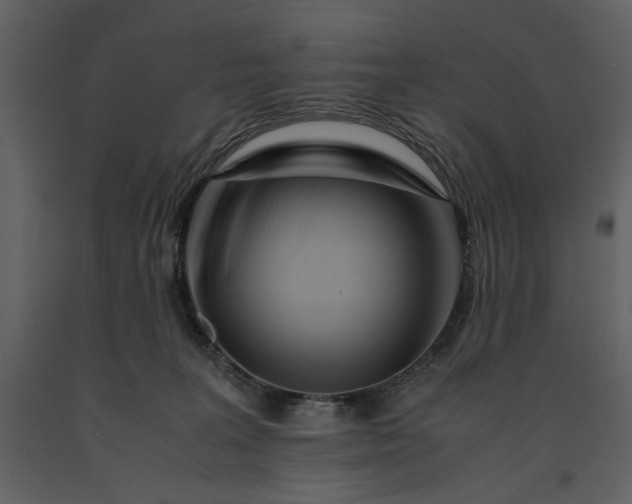 X0000091220227200708231638