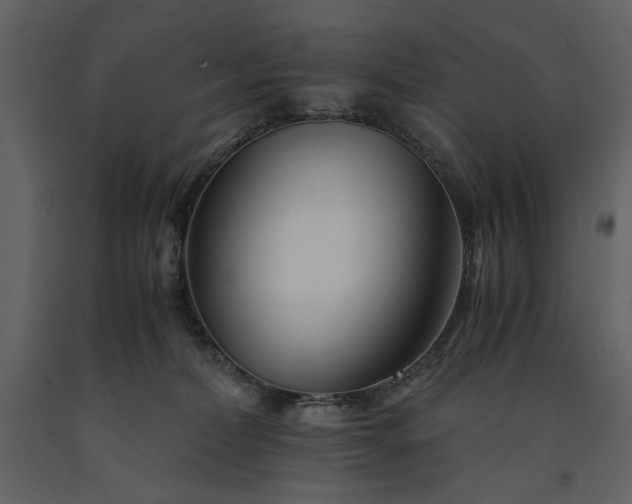 X0000091220228200708231638