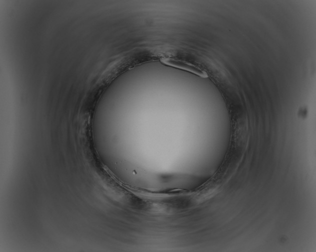 X0000091220229200708231638