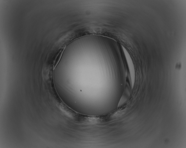 X0000091220233200708231638