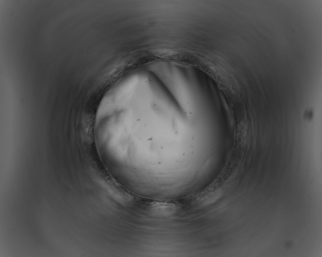 X0000091220234200708231638