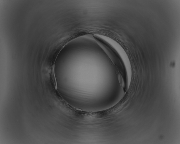 X0000091220235200708231638