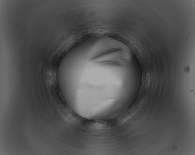 X0000091220236200708231638