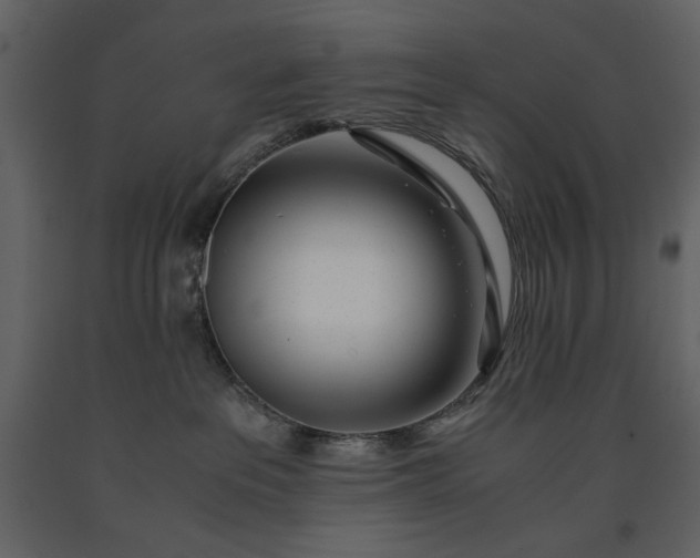 X0000091220237200708231638