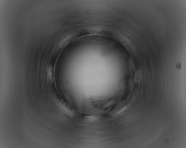 X0000091220238200708231638