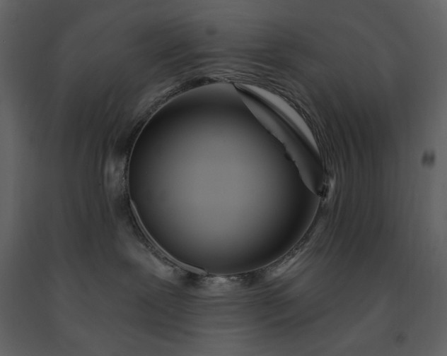 X0000091220239200708231638