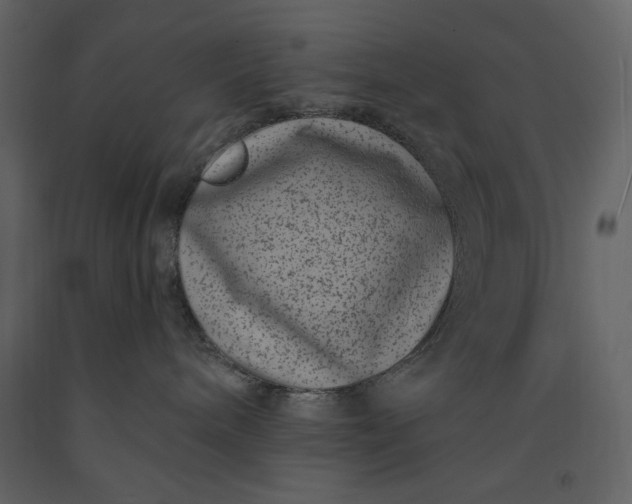 X0000091220240200708231638