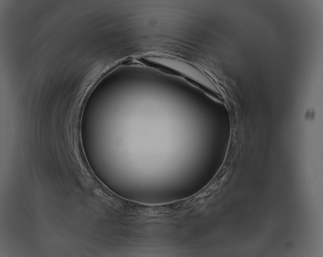 X0000091220241200708231637