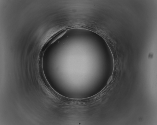 X0000091220242200708231637