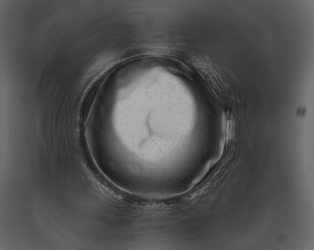 X0000091220243200708231637