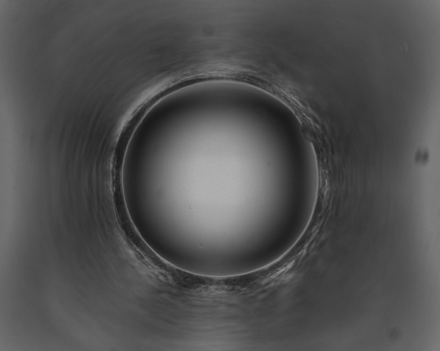 X0000091220244200708231637