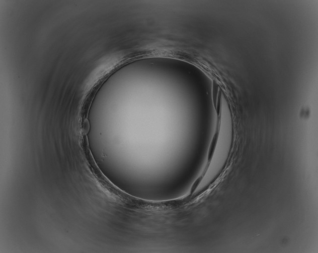 X0000091220245200708231637