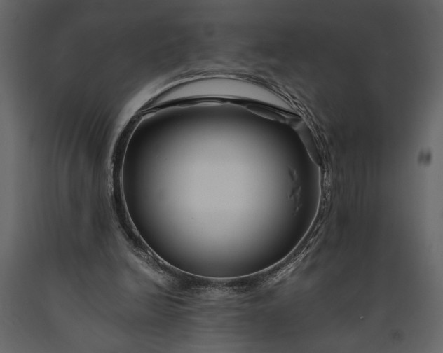 X0000091220246200708231638