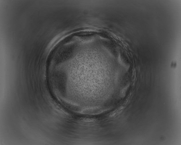 X0000091220247200708231638