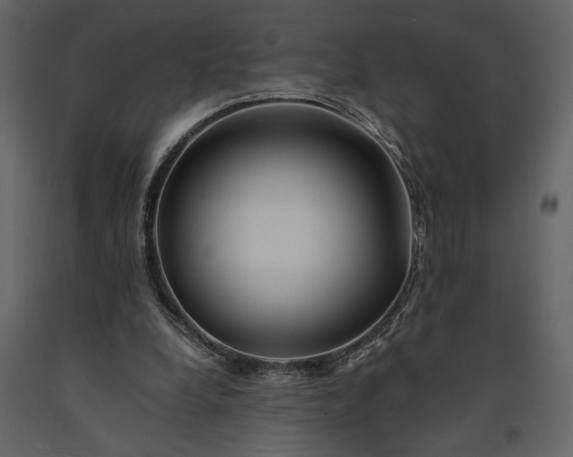 X0000091220248200708231638