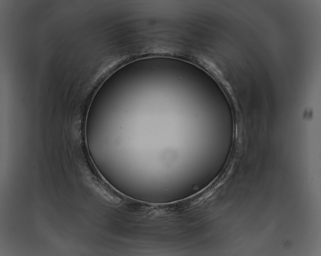 X0000091220249200708231638