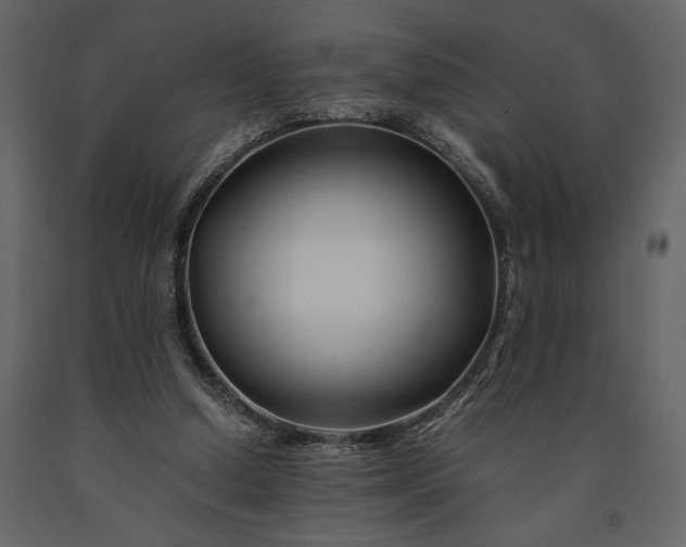 X0000091220250200708231638