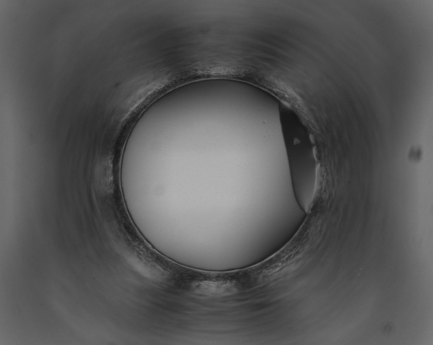 X0000091220251200708231638