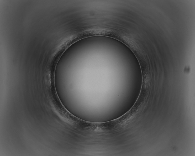 X0000091220254200708231638