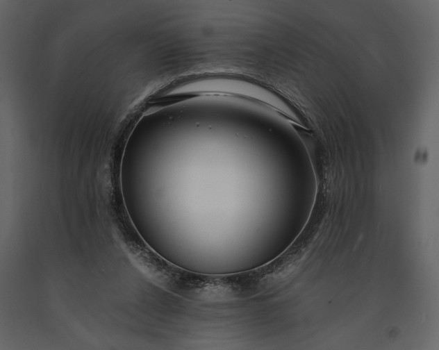 X0000091220256200708231638