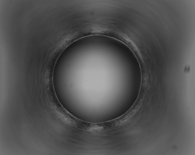 X0000091220257200708231638