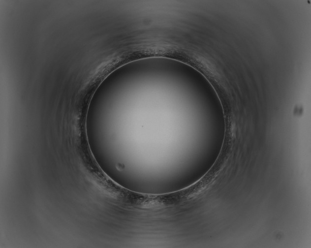 X0000091220258200708231638