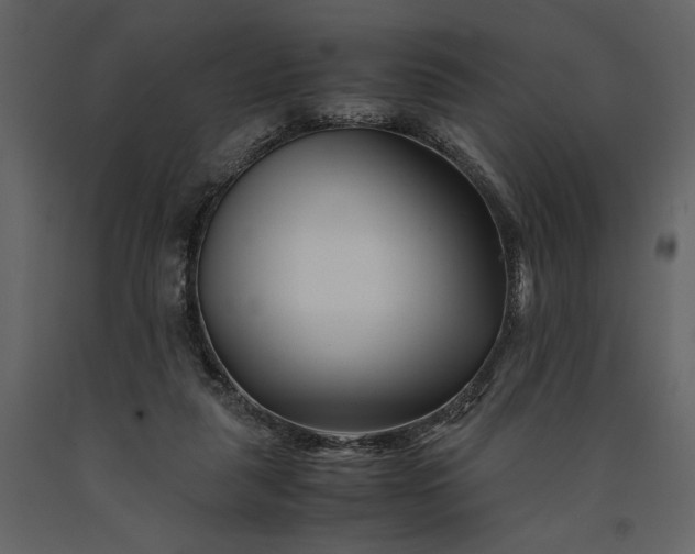 X0000091220259200708231638