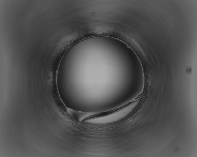 X0000091220260200708231638