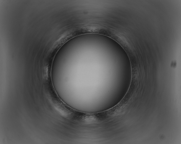 X0000091220262200708231638