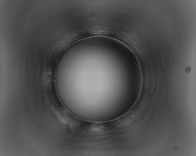 X0000091220263200708231638