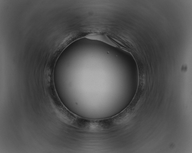 X0000091220264200708231638