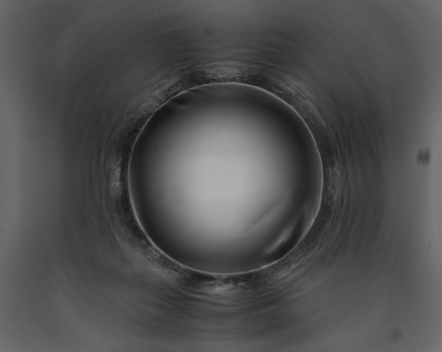 X0000091220267200708231638