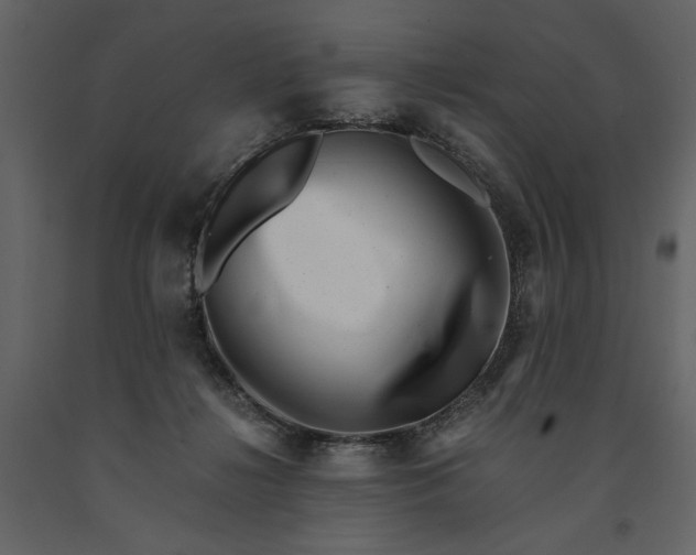 X0000091220268200708231638