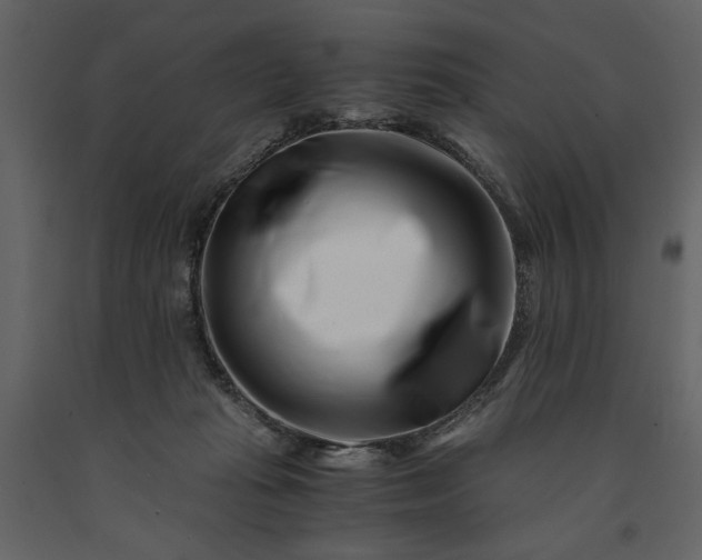 X0000091220269200708231638