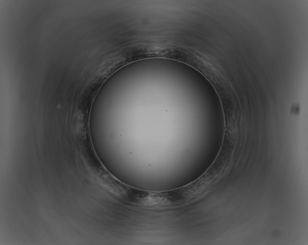 X0000091220270200708231638