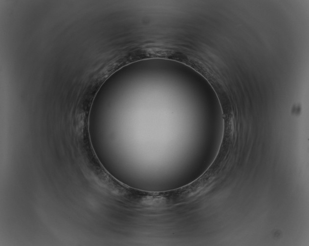 X0000091220271200708231638