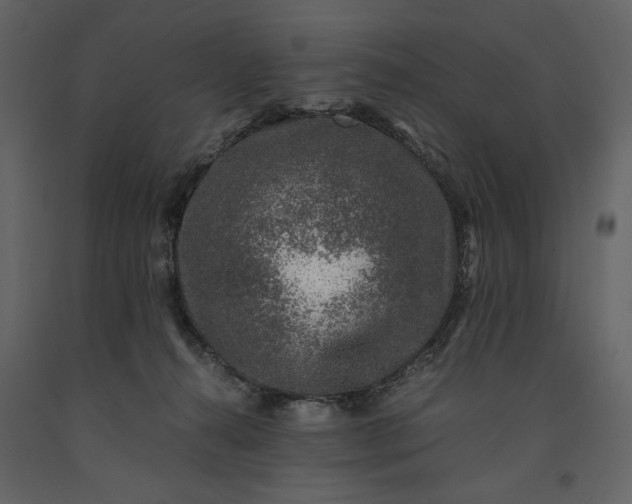 X0000091220272200708231638